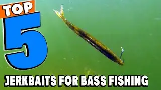 Top 5 Best Bass Fishing Jerkbaits Review in 2025