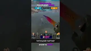 birdfromsky POSTPLANT KNIFE 😅 CS2 Highlights