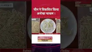 चीन ने विकसित किया अनोखा चावल | CommodityToday