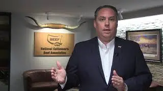 Beltway Beef Spotlight: Coronavirus Relief Update