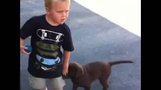 Suckerpunch!