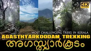 അഗസ്‌ത്യാർകൂടം | Agasthyakoodam Trekking I Wildlife I 4K I  Challenging Trek in Kerala