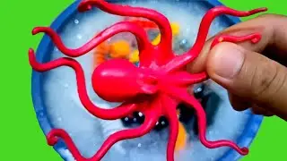 Learn Wild Zoo Animals Names for Kids, Sea Animals,  Animal Toys