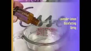 Oil Camp - Lavender/Lemon Disinfectant Spray