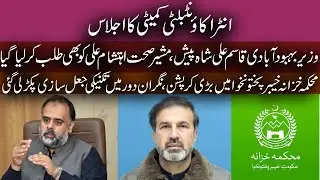 PTI Ministers in Accountability Committee || Finance Department KP Scam || Muhammad Faheem