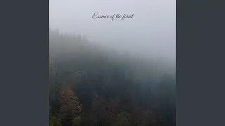 Essence of the Forest
