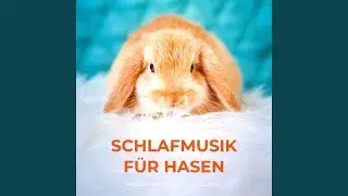 Tierinstinkt