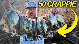 50 RIVER CRAPPIE ON THIS SIMPLE CRAPPIE SETUP!! CRAPPIE FISHING 2026!