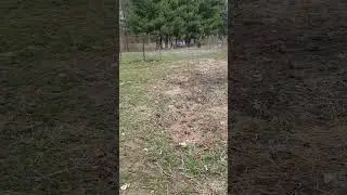 Before Tilling the Garden and After with 3pt PTO Driven Rototiller.                      #gardening