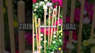 Creating Wooden Garden Edging from Discarded Stakes