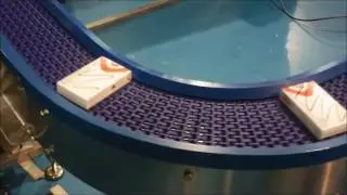 Pharmaceutical Conveyors