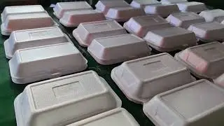 PS foam box plate disposable food container tray making machine