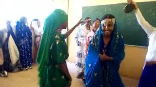 beteseb academy