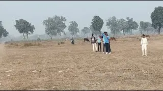Fielding Session Green Cricket Club Lakhraw