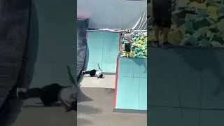 OH NO 💀 He missed the foam pit 💀