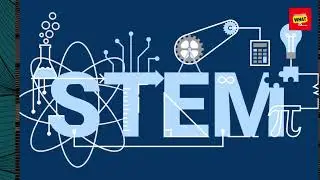 What are the Key Components of a Well Rounded Education Curriculum?
