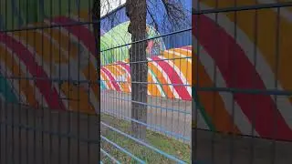 Lubella mural w Lublinie autor Natalia Rak #lubelskie #mural #lubella #natalia rak