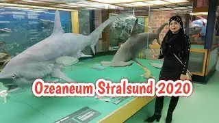 OZEANEUM STRALSUND 2020 | MEERESKUNDE MUZEUM | Vlog#44