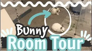 BUNNY ROOM TOUR| reviewing my clear rabbit pen| free roam bunny enrichment ideas| My Pawfect Family