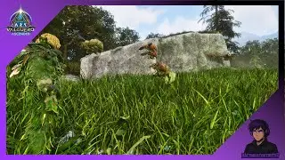 Why Are Bees So Frustrating To Tame! - Ark Survival Ascended Valguero [EP10]