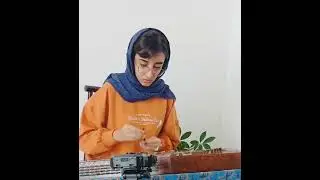خاطره     اثر استاد اردوان کامکار         نوازنده:نگار عرفانی فر.    @negarerfanifar