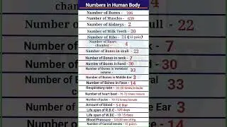 Numbers in Human body    Number of human Teeth    Bones    Muscles    Ribs    Bones in skull