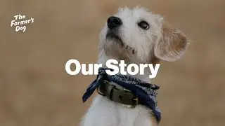 The Farmer's Dog Founders' Story
