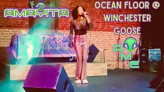 Ocean Floor by Amayita and TLEEonDABEAT live at Winchester Goose