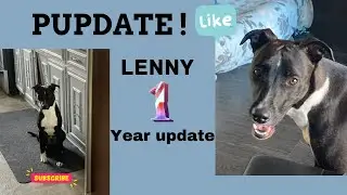 Sailing Windsome ~pupdate 1 year later