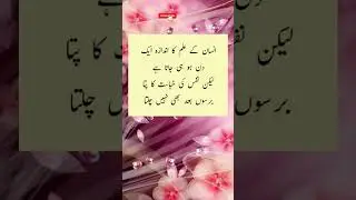 quotes | sheikh sadi quotes |  sheikh sadi sayings #shorts #shortquotes #lifequotes