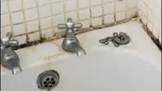 Keep a clean bathroom from Mildew/Mold 🦠