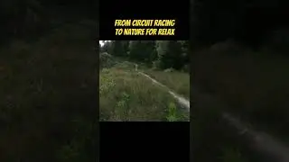 #gaminginnature #peacefulgaming #gamingvibes #naturesounds #relaxinggameplay