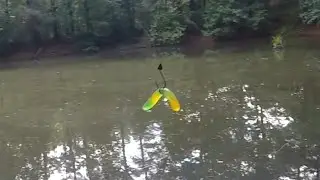 GUMMY WORM FISHING CHALLENGE (BASS FISHING)