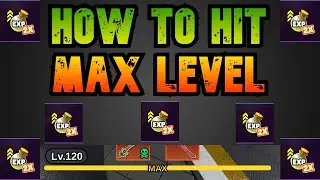 THE BEST WAY TO GET MAX LEVEL | Dungeon Hunters
