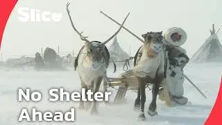 Nomadic herders, frozen tundra, and children on their own | SLICE