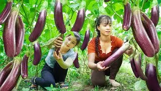 Harvest Many Eggplant With My Sister Phuong-Free Bushcraft Go To Market Sell - Huyền New Life