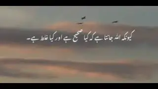 #foryou #faith #trust #trendingshorts #feedshorts #shorts #shaban #Allah #tawakkul #praytoallah
