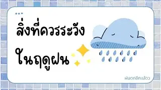 สิ่งที่ควรระวังในฤดูฝน l Thitaram