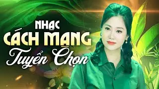 Nhạc Cách Mạng Tuyển Chọn Toàn Bài Hay – Giai Điệu Tự Hào Đón Năm Mới Xuân 2026 | Đặng Hồng Nhung