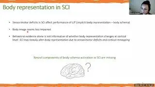 Event-related potentials and spectral perturbations during a body-representation task in humans SCI