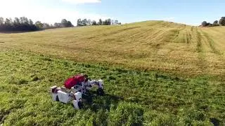 GrassRobotics - First Field Test