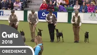 Obreedience - The Ratcatchers | Crufts 2018