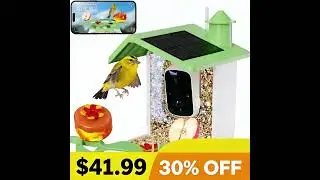 🌞 Get Instant Alerts When Rare Birds Visit Your Smart Feeder 🚨 #wildlifeconservation  #smarthome