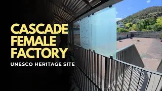 The Dark Secret of Australia&rsquo;s History: Cascades Female Factory