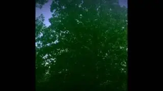 Mindfulness Meditation w/ Emily Fine