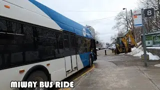 MiWay Route 2N Bus Ride From Port Credit Station To City Centre Terminal
