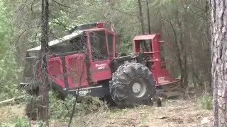 Biomass Project