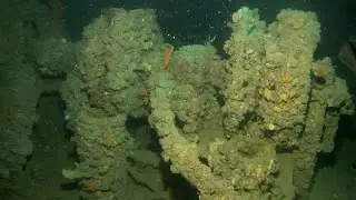 MV Seawolf - Adelaide Diving