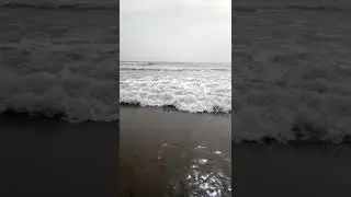Hamaliya sea