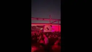 Giant 12ft Brown Bear & Panda Take Over NYC Dreamland Rave Party